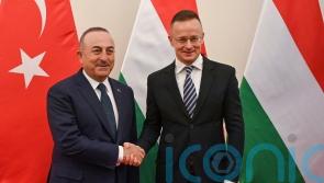 Sweden should ‘act differently’ to join Nato, says Hungary’s foreign minister