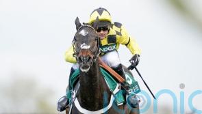 Henderson ‘very happy’ with Shishkin and has sights set on Ascot