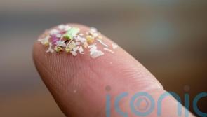 Microplastics used in packaging and paint discovered in human veins