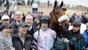 Owners Group looking forward to festival targets