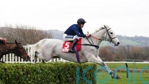 Longsdon ‘delighted’ after Snow Leopardess’ Cheltenham spin