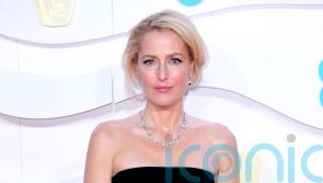 Gillian Anderson: Sex Education exposed me to things I had never heard of before
