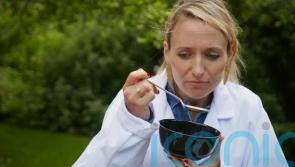 Kate Quilton retches after eating 50-year-old kangaroo tail canned soup