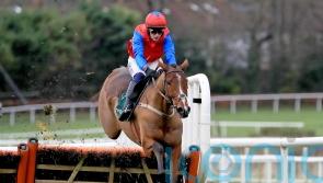 Facile Vega faces toughest test yet at Leopardstown