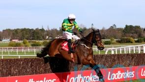 Gentleman De Mee shocks hotpot stablemate Blue Lord