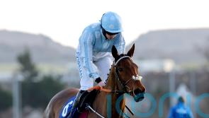 Mares’ Hurdle or retirement for Honeysuckle, but no Champion Hurdle