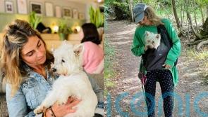 Dog owner ignored vets&rsquo; recommendations for dog to be put down three times &ndash; now canine is 18 years old and &lsquo;thriving&rsquo;