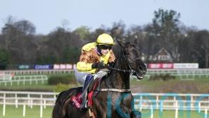 Scudamore happy to tackle ‘vastly impressive’ Galopin with Ahoy Senor