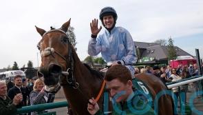 Honeysuckle to have Mares’ Hurdle swansong at Cheltenham