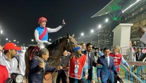 Dettori banking on Country Grammer in Saudi Cup