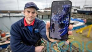  Fisherman beat 'one in two million chance' to catch rare blue lobster in Belfast Lough