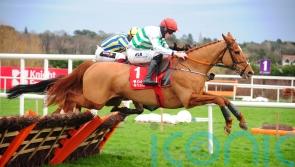 Zanahiyr faces losing third place in last season’s Champion Hurdle
