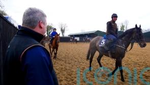 ‘Fresh and well’ Conflated poised to make his mark in Gold Cup