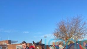 Hugos New Horse continues winning spree with four-timer