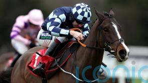 Chasing Fire has sparked Supreme ambitions for Murphy