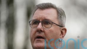 Verdict underlines need for political solution to NI Protocol – DUP leader