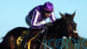 High Definition still in the frame for Cheltenham, despite weekend blip