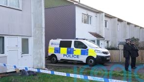 Girl, four, mauled to death by pet dog named by police as Alice Stones