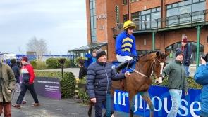 Lot Of Joy books Cheltenham ticket with Fairyhouse success