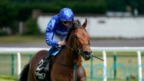 Lazuli leads Appleby charge for Blue Point honours