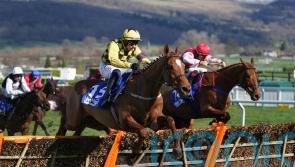 Colonel Mustard rethink after Newbury outing scuppered by ground