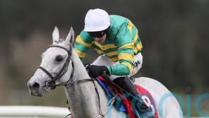 Elimay returns to action on familiar ground before Cheltenham