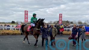 Messire Des Obeaux delights connections at Warwick