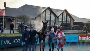 Nolan anticipating Festival improvement from Sandor Clegane