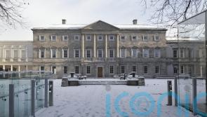 Human rights group raises concerns over Chinese cameras at the Oireachtas