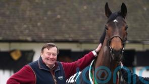 No rush to commit to Cheltenham target with Marie’s Rock