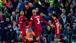 Cody Gakpo opens Liverpool account as they ease past derby rivals Everton