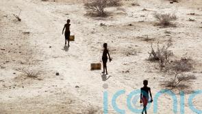 President urges Kenyans to pray for rain to ease extreme drought