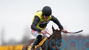 Aucunrisque may be back out quickly in Kingwell Hurdle