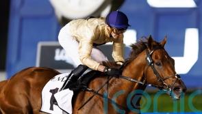 ‘All systems go’ for Algiers and Dubai World Cup bid