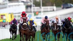 Burke still full of hope for Queens Gamble at Cheltenham
