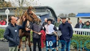 De Bromhead-trained Hiddenvalley Lake bids to book Albert Bartlett ticket