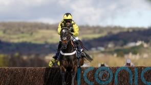 Shishkin spearheads super six for Ascot Chase