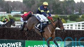 Definite decision yet to be made on Arkle for Final Orders