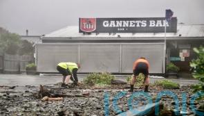Death toll from New Zealand cyclone reaches eight
