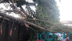 Storm Otto leaves thousands without power