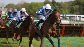 Nicholls anticipating Knappers Hill redemption at Wincanton