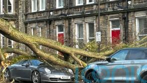 Homes face 48 hours without power after Storm Otto hits UK