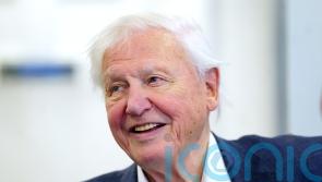 David Attenborough says he regrets not focusing on British wildlife programmes