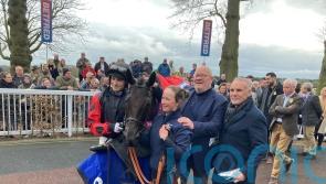 Quick Wave prevails in National Trial thriller