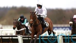 Bay back on form with Ascot verdict