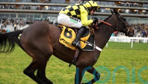 Shishkin ‘100 per cent’ after Ascot – with Ryanair Chase still favoured next
