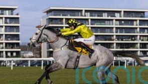 Eldorado Allen will go for Cheltenham gold, with line put through Newbury