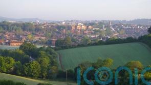 Public rushed to aid of elderly woman found stabbed to death