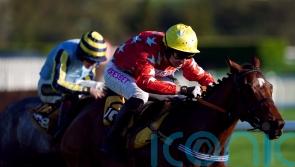Scriptwriter’s owner Adams will be back on more familiar ground this weekend