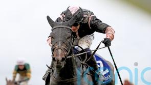 Brandy back in action at Punchestown